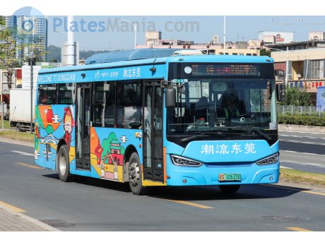 粤S·10633D, Hongyuan Bus KMT6106