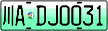License plate of China, Electric vehicles