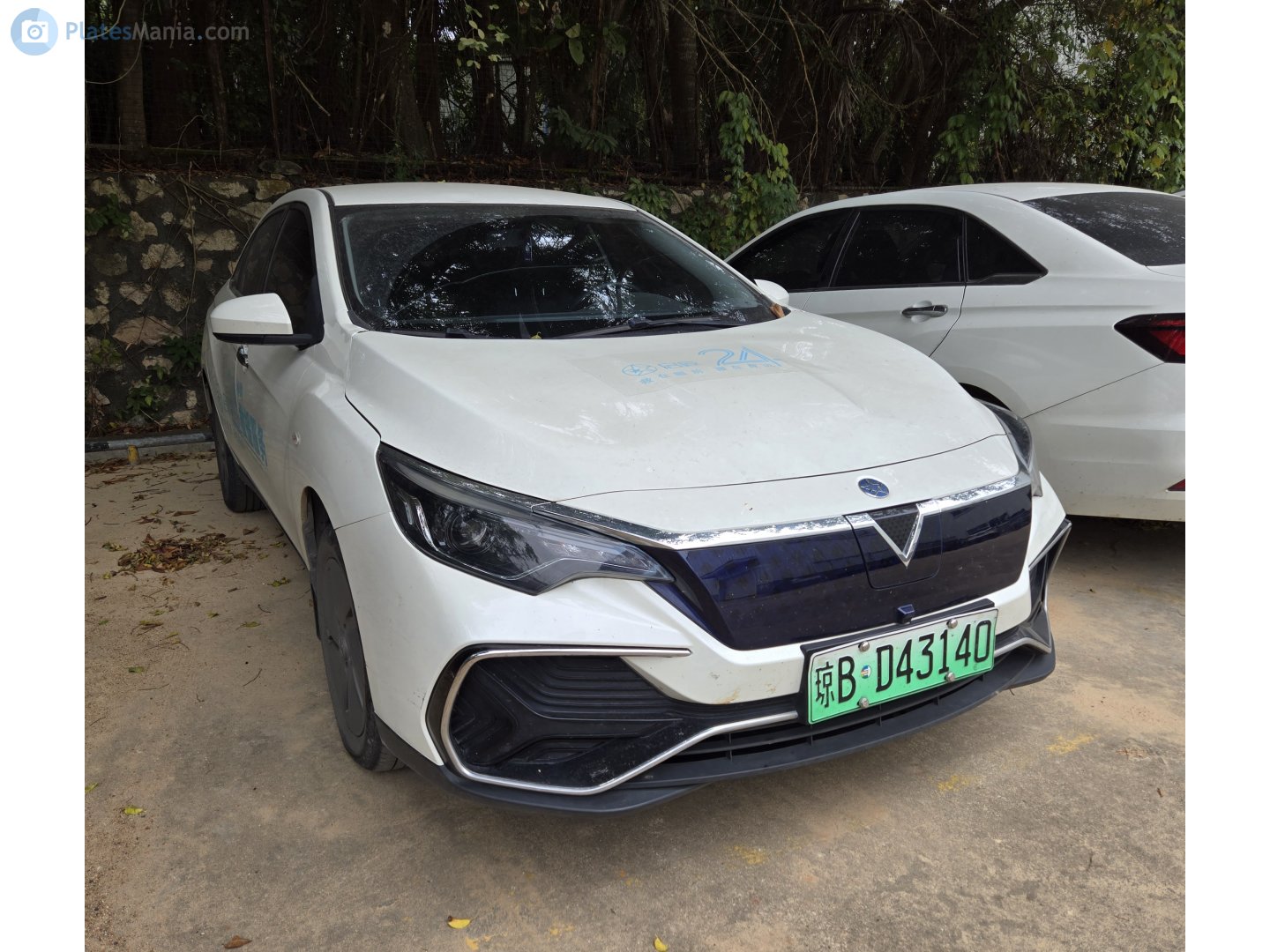 琼B·D43140, Venucia D60 