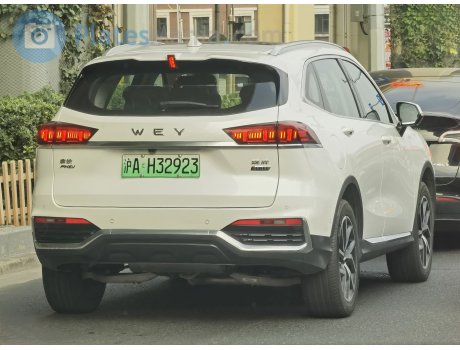 沪A·H32923, WEY Natie (Latte)