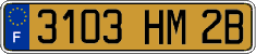 French license plate, FNI