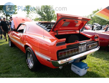 569 EXZ, Ford Mustang
