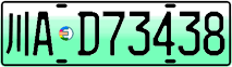 License plate of China, Electric vehicles