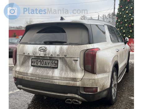 у010ау44, Hyundai Palisade