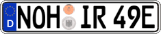 German license plate, Electric vehicles