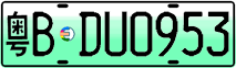 License plate of China, Electric vehicles