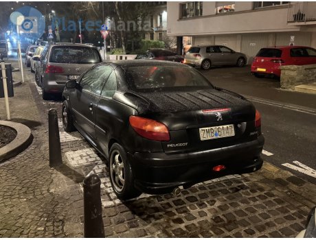 ZMB-6147, Peugeot 206