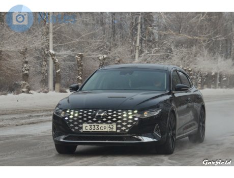 с333ср42, Hyundai Grandeur