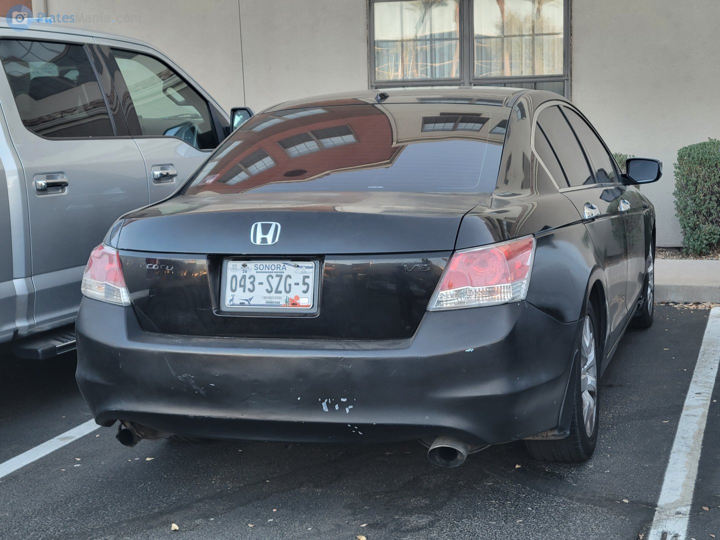 043-SZG-5, Honda Accord 8th gen Sedan (CP; NA- and Pacific-market), 2007–2012