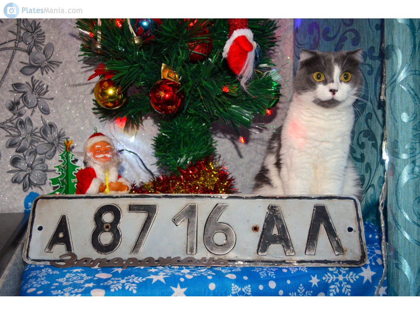 а 8716 АЛ, License plate without vehicle 