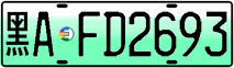 License plate of China, Electric vehicles