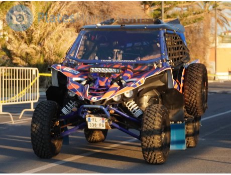 FL-338-PG, Yamaha YXZ