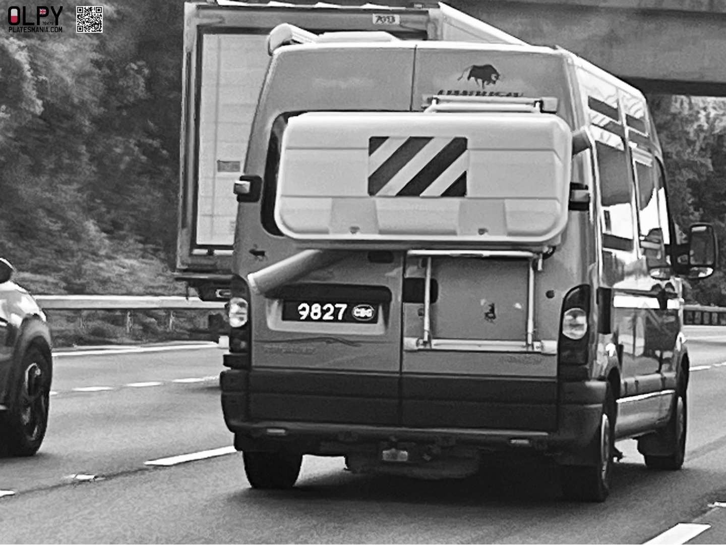 9827, Devon Limousin 