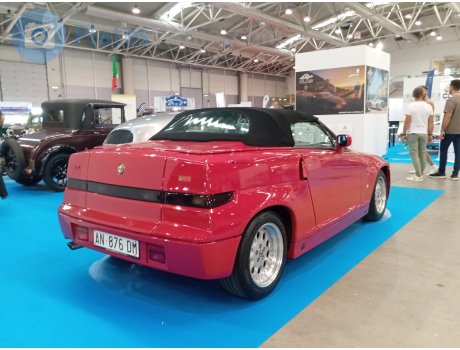 AN 876 DM, Alfa Romeo R.Z.