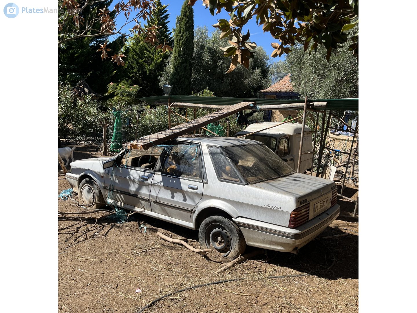 VA 5280 N, Austin Montego 