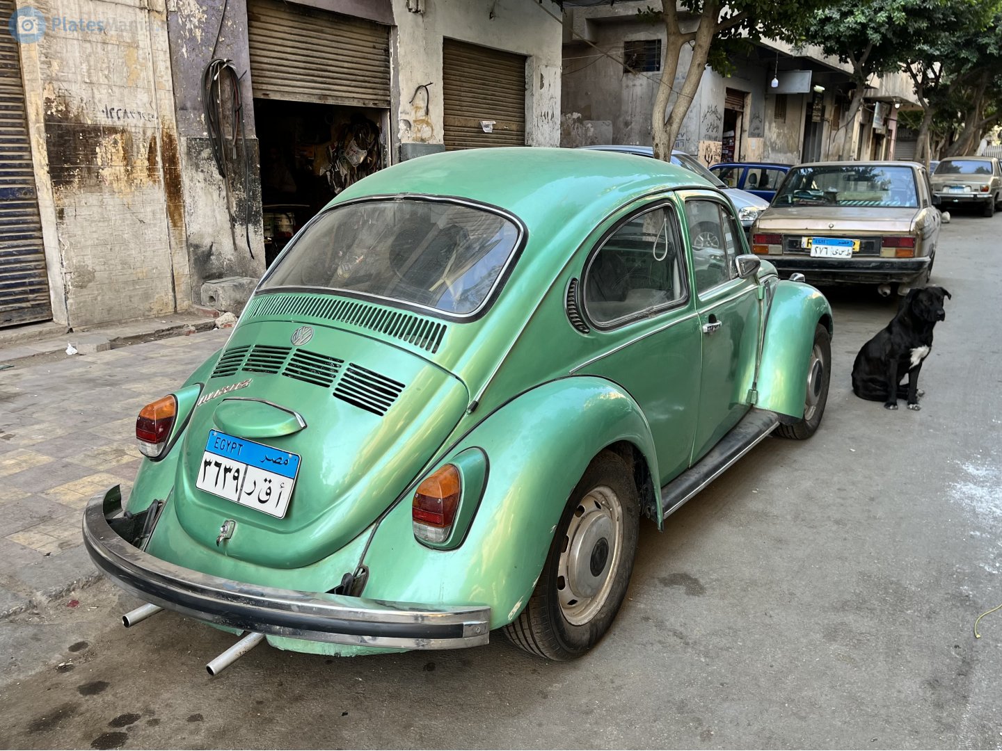٣٦٣٩ رقأ, Volkswagen Beetle 1st gen Sedan (Type 1), 1938­–2003