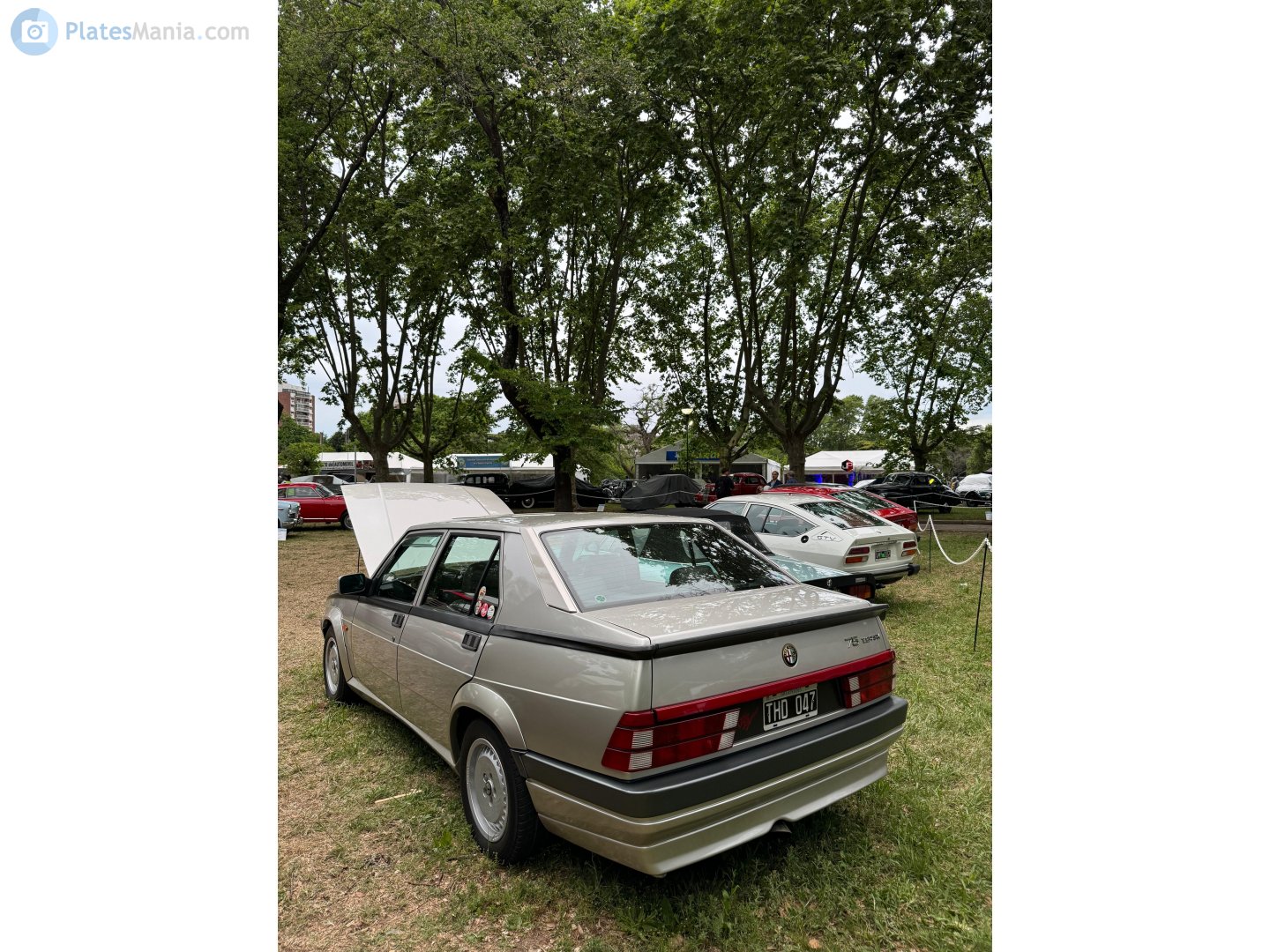 THD 047, Alfa Romeo 75 1st gen (162B), 1985–1992