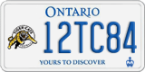 Ontario, Specialty plates (12AB34)