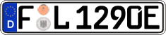 German license plate, Electric vehicles