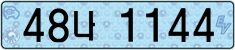 License plate of South Korea, Electric vehicles