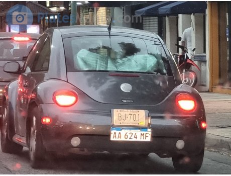 AA 624 MF, Volkswagen Beetle