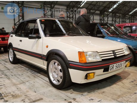GR 5009 Y, Peugeot 205