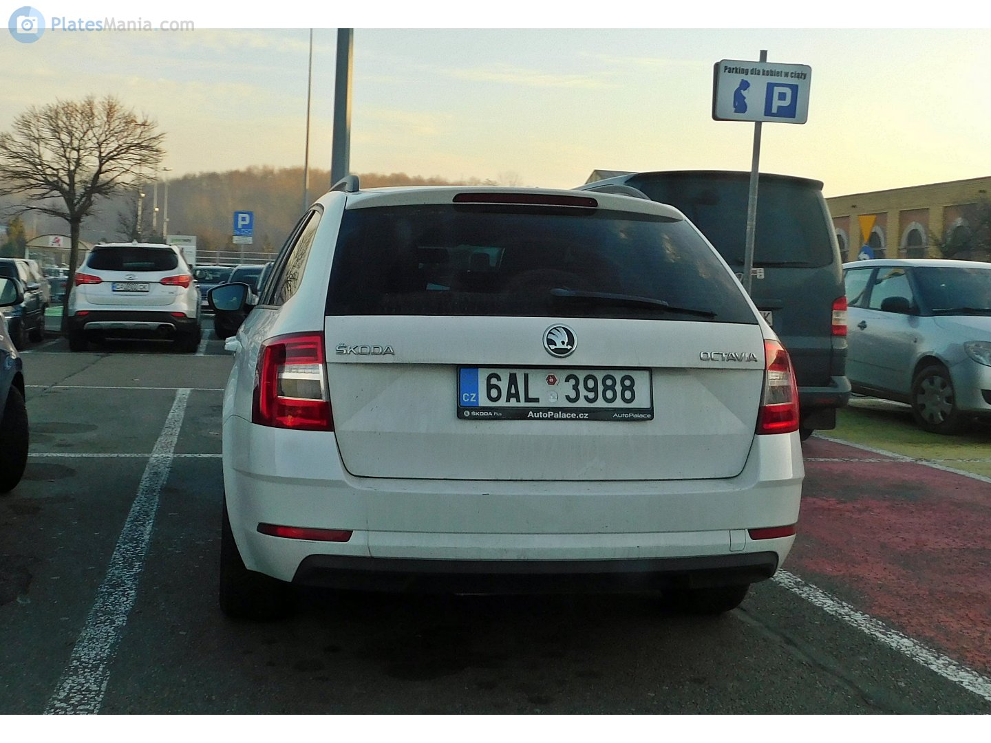 6AL 3988, Skoda Octavia 3rd gen Combi (A7/5E5), facelift, 2017–2020 (–2023 for CN-market)