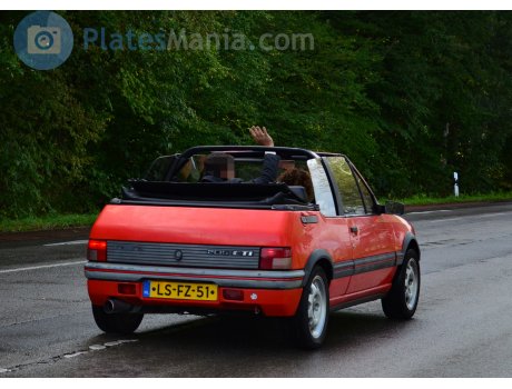 LS-FZ-51, Peugeot 205
