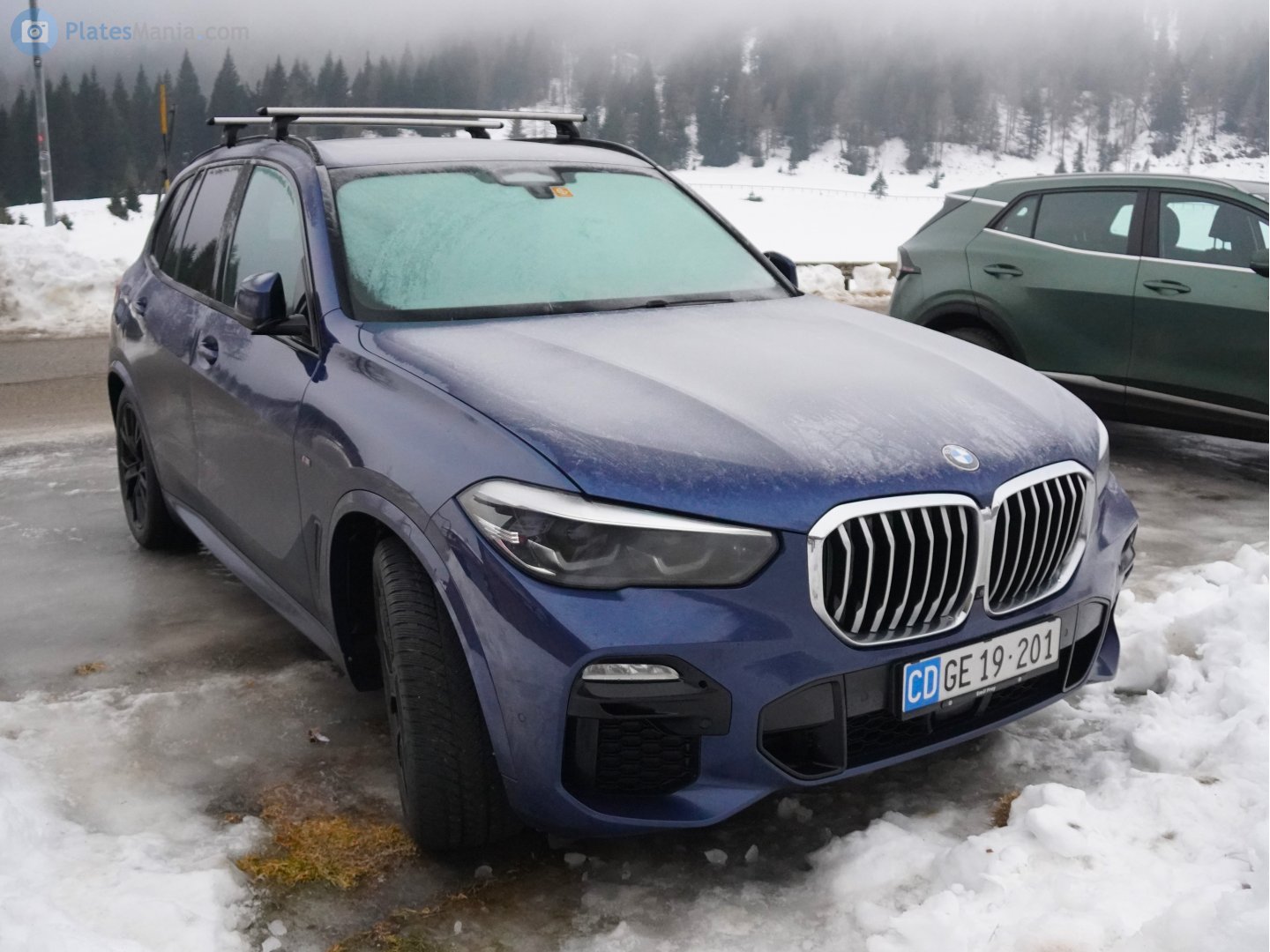 CD GE 19-201, BMW X5 4th gen (G05), 2018–2023