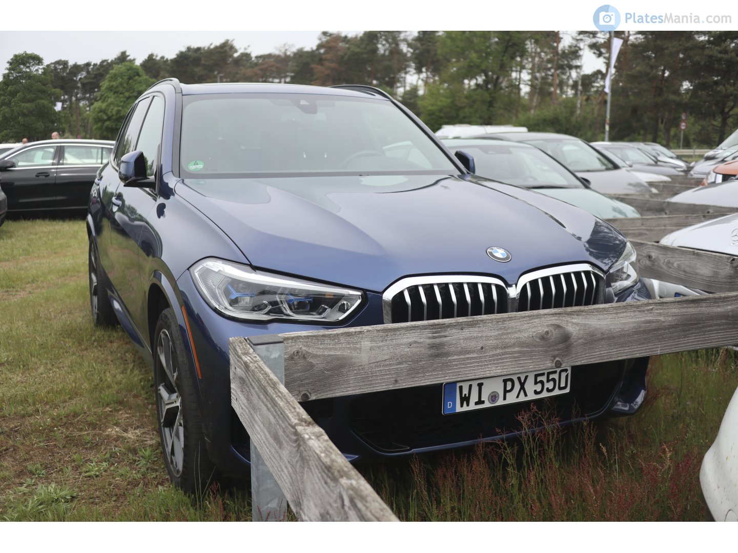WI PX 550, BMW X5 4th gen (G05), 2018–2023