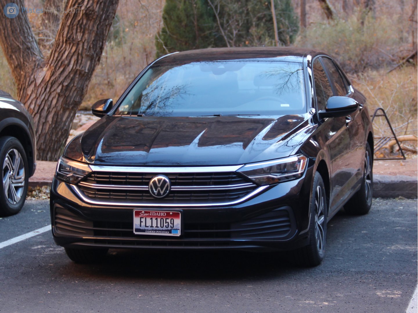 FL11059, Volkswagen Jetta 7th gen, facelift, 2021–2024