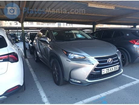 25 XX 300, Lexus NX