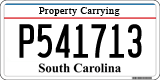 South Carolina, Property Carrying (P123456)