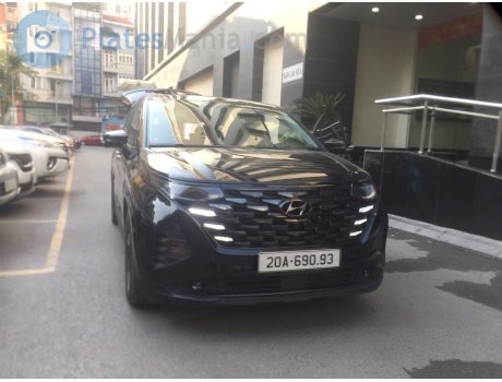 20A-690.93, Hyundai Custo (Custin)