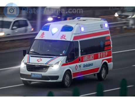 鲁N·399GS, Ford Transit