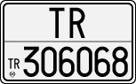 TR 306068