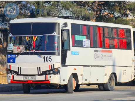 77 SJ 105, Isuzu Ecobus