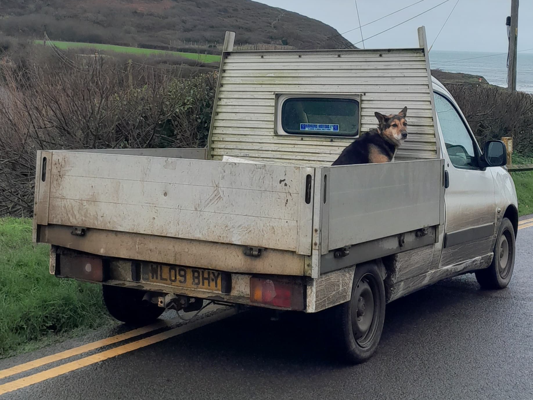 WL09BHY, Citroёn Berlingo 1st gen (First) (M49), facelift, 2002–2013 (–present for LATAM-market)