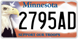 Minnesota, Specialty plates