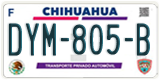 Chihuahua, Cars (AAA-000-A)