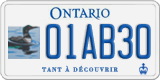 Ontario, Specialty plates (12AB34)