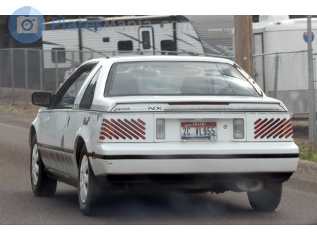 2C VL955, Nissan Pulsar