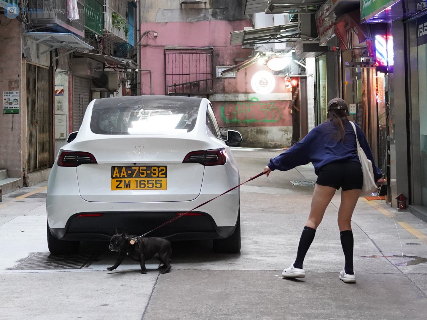 ZM 1655, Tesla Model Y 1st gen (5YJY), 2020–2025