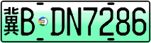 License plate of China, Electric vehicles