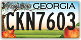 Georgia, ABC 1234