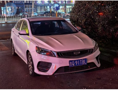 鲁Q·91T8L, Geely Binrui