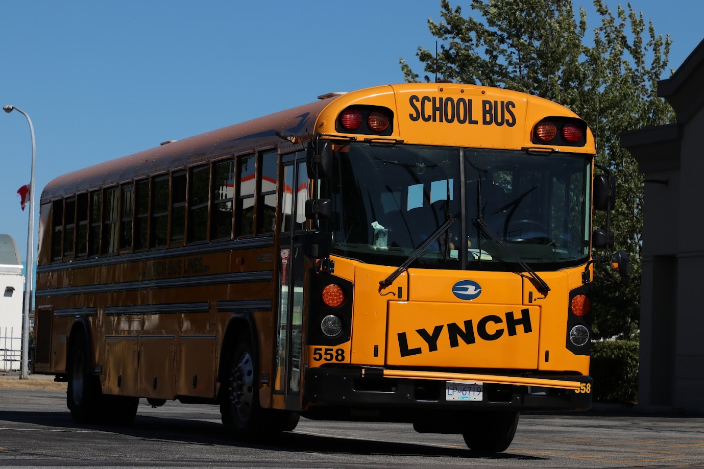 LP-6719, Blue Bird All American/Canadian 