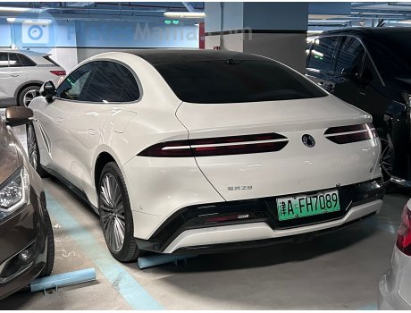 津A·FH7089, Denza (Tengshi) Z9