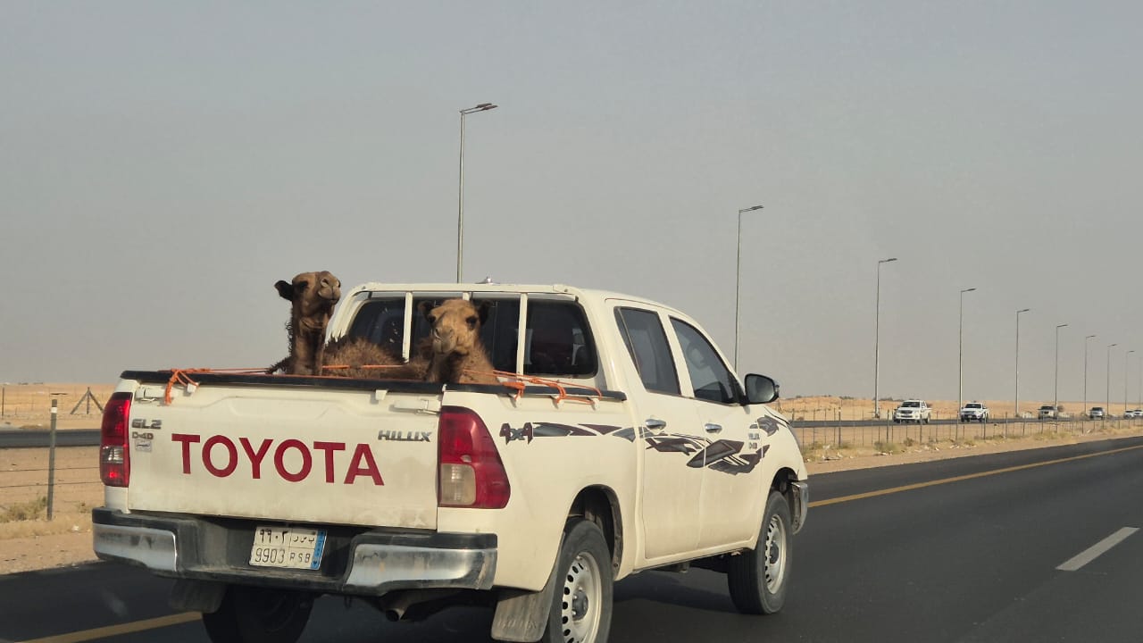 9903 RSB, Toyota Hilux 8th gen (AN120/AN130), 2015–