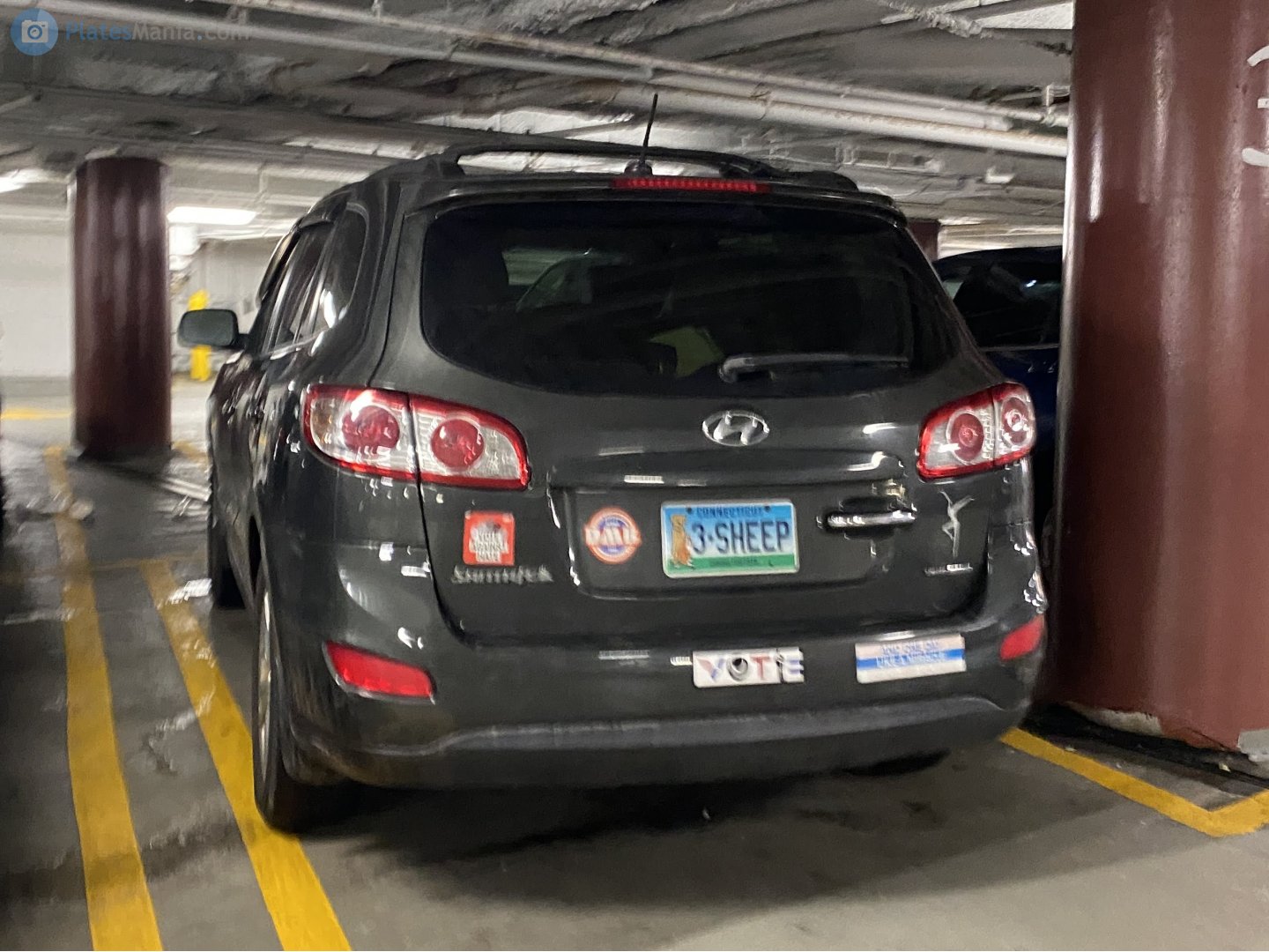 3-SHEEP, Hyundai Santa Fe 2nd gen (CM), facelift, 2009–2012